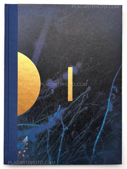 Paul Cupido,DRIFTING STONES (SIGNED) Paul Cupido,DRIFTING STONES (SIGNED)