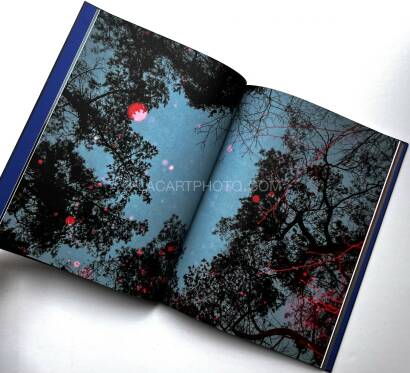 Paul Cupido,DRIFTING STONES (SIGNED) Paul Cupido,DRIFTING STONES (SIGNED)