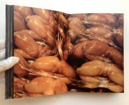 Miguel Rio Branco,Maldicidade Miguel Rio Branco,Maldicidade