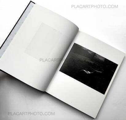 Léonie Hampton,In the Shadow of Things (Signed)