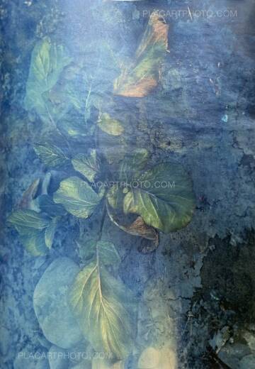 Daisuke Yokota,Plants, midstream of TamaRiver, winter (SIGNED) Daisuke Yokota,Plants, midstream of TamaRiver, winter (SIGNED)