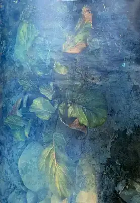 Daisuke Yokota – Plants, midstream of TamaRiver, winter (SIGNED)