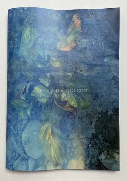 Daisuke Yokota,Plants, midstream of TamaRiver, winter (SIGNED) Daisuke Yokota,Plants, midstream of TamaRiver, winter (SIGNED)