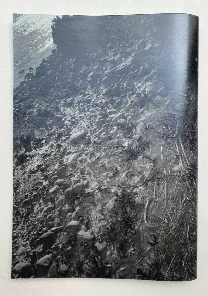 Daisuke Yokota,Plants, midstream of TamaRiver, winter (SIGNED) Daisuke Yokota,Plants, midstream of TamaRiver, winter (SIGNED)