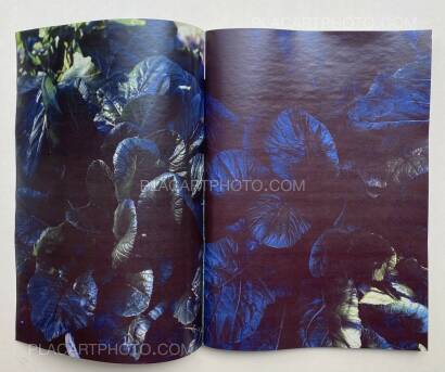 Daisuke Yokota,Plants, midstream of TamaRiver, winter (SIGNED) Daisuke Yokota,Plants, midstream of TamaRiver, winter (SIGNED)