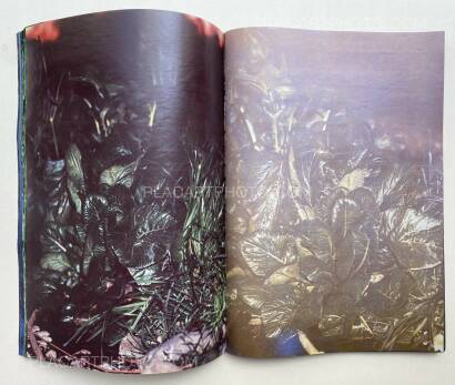 Daisuke Yokota,Plants, midstream of TamaRiver, winter (SIGNED) Daisuke Yokota,Plants, midstream of TamaRiver, winter (SIGNED)