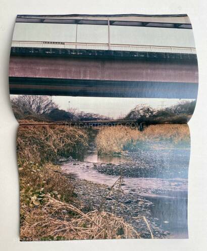 Daisuke Yokota,Plants, midstream of TamaRiver, winter (SIGNED) Daisuke Yokota,Plants, midstream of TamaRiver, winter (SIGNED)