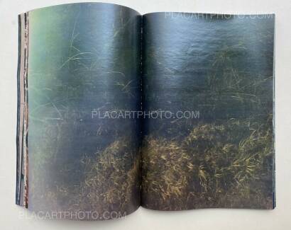 Daisuke Yokota,Plants, midstream of TamaRiver, winter (SIGNED) Daisuke Yokota,Plants, midstream of TamaRiver, winter (SIGNED)