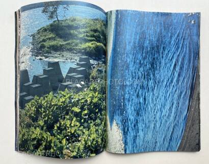 Daisuke Yokota,Plants, midstream of TamaRiver, winter (SIGNED) Daisuke Yokota,Plants, midstream of TamaRiver, winter (SIGNED)