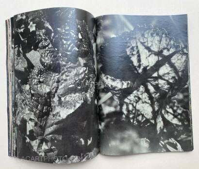 Daisuke Yokota,Plants, midstream of TamaRiver, winter (SIGNED) Daisuke Yokota,Plants, midstream of TamaRiver, winter (SIGNED)