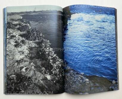 Daisuke Yokota,Plants, midstream of TamaRiver, winter (SIGNED) Daisuke Yokota,Plants, midstream of TamaRiver, winter (SIGNED)