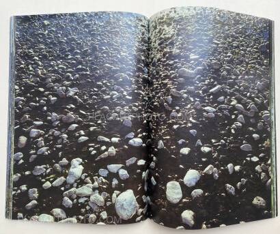 Daisuke Yokota,Plants, midstream of TamaRiver, winter (SIGNED) Daisuke Yokota,Plants, midstream of TamaRiver, winter (SIGNED)