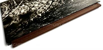 Graciela Iturbide,NATURATA Graciela Iturbide,NATURATA