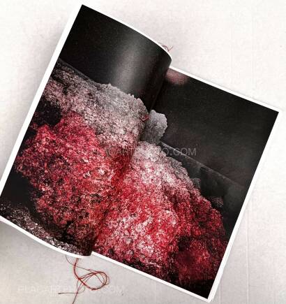 Ryu Ika,みゃーくとぅなぎ すまとぅなぎ / Myāku tunagi, Sumatu nagi : (ONLY 20 COPIES) Ryu Ika,みゃーくとぅなぎ すまとぅなぎ / Myāku tunagi, Sumatu nagi : (ONLY 20 COPIES)