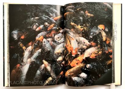 Takuma Nakahira,Aratanaru gyoushi / New Gaze Takuma Nakahira,Aratanaru gyoushi / New Gaze