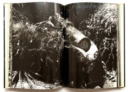 Takuma Nakahira,Aratanaru gyoushi / New Gaze Takuma Nakahira,Aratanaru gyoushi / New Gaze