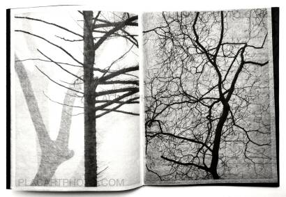 Kathleen Alisch,Conversations with trees (EDT OF 6) Kathleen Alisch,Conversations with trees (EDT OF 6)
