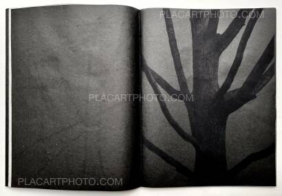 Kathleen Alisch,Conversations with trees (EDT OF 6) Kathleen Alisch,Conversations with trees (EDT OF 6)