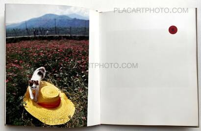 Masahisa Fukase,Neko no mugiwara boshi / The Strawhat Cat (Signed)