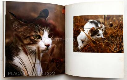 Masahisa Fukase,Neko no mugiwara boshi / The Strawhat Cat (Signed)