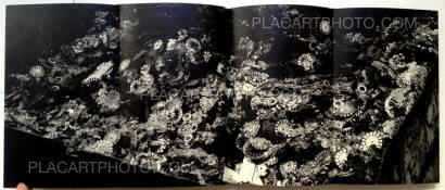 Kikuji Kawada,Chizu / The Map (Signed)