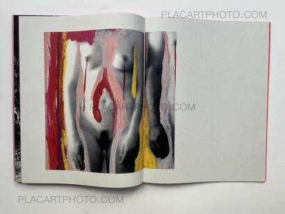 Chloé Jafé,Trilogy : Lot of 3 books (Handmade edt with prints) 