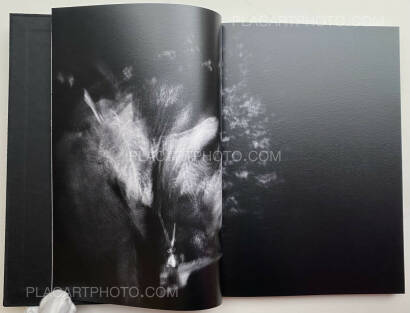 Carl Krow,The Waiting Room (Signed) (PRE ORDER)