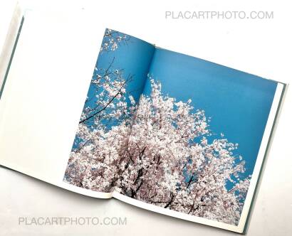 Risaku Suzuki,Hysteric Eight (Signed)