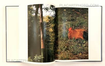 Takuma Nakahira,Hysteric Six