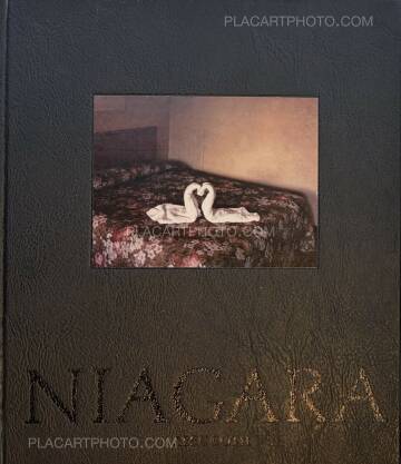 Alec Soth,NIAGARA
