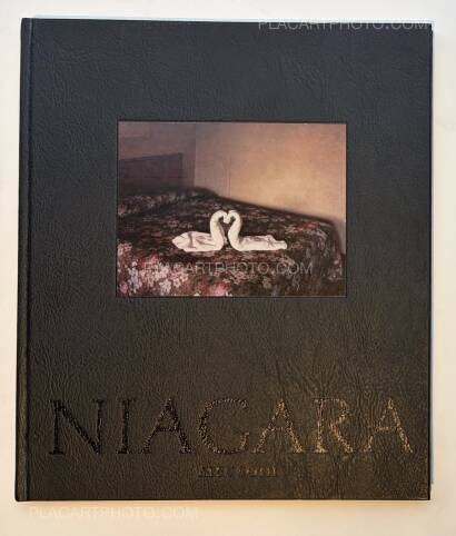 Alec Soth,NIAGARA