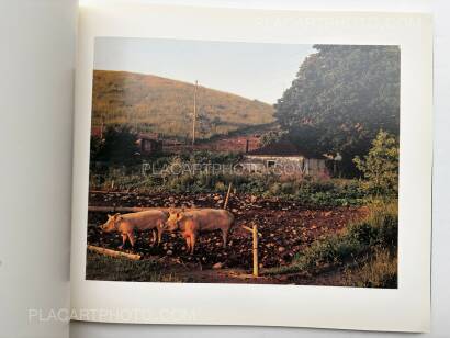 Joel Sternfeld,AMERICAN PROSPECTS