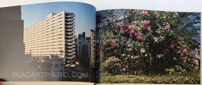 Yoshiko Seino,Everywhere Gather Yourself Stand