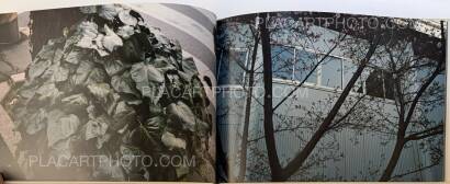 Yoshiko Seino,Everywhere Gather Yourself Stand