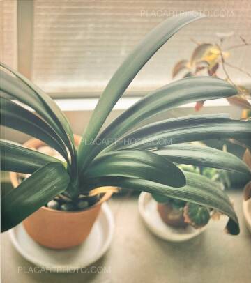 Masafumi Sanai,Ikiteiru / Alive (First edition)