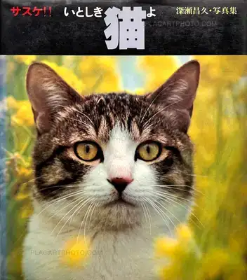 Masahisa Fukase – Sasuke !! Itoshiki neko yo / Sasuke !! My dear cat