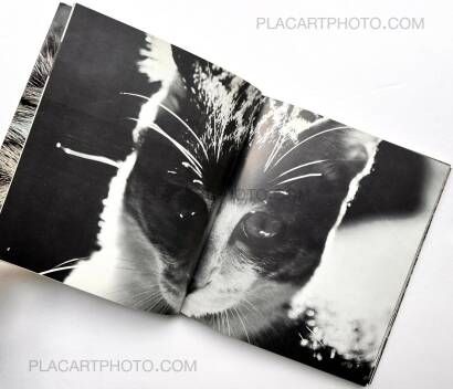 Masahisa Fukase,Sasuke !! Itoshiki neko yo / Sasuke !! My dear cat