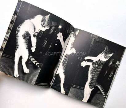 Masahisa Fukase,Sasuke !! Itoshiki neko yo / Sasuke !! My dear cat