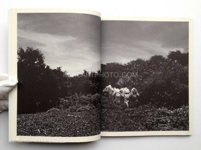 Toyomitsu Higa,Nanamui : 1997-2001 Toyomitsu Higa,Nanamui : 1997-2001