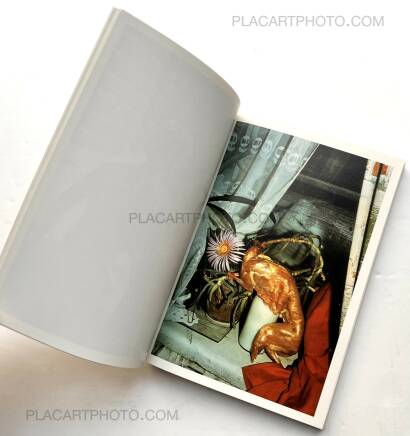 Boris Mikhailov,Suzi et cetera