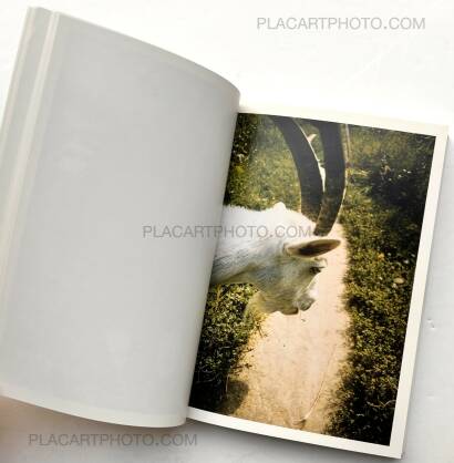 Boris Mikhailov,Suzi et cetera