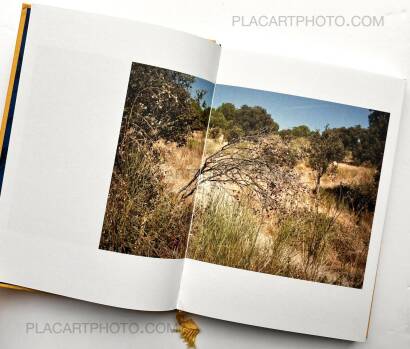 Antonio M. Xoubanova,CASA DE CAMPO (SIGNED)