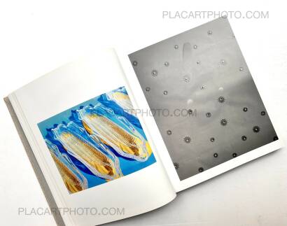 Lucas Blalock,WINDOWS MIRRORS TABLETOPS (SIGNED)