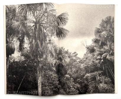 Paul Cupido,AMAZONIA