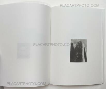 Gael del Rio and Luca Bani,Oddments 2/5 (Special edition of 5 copies)