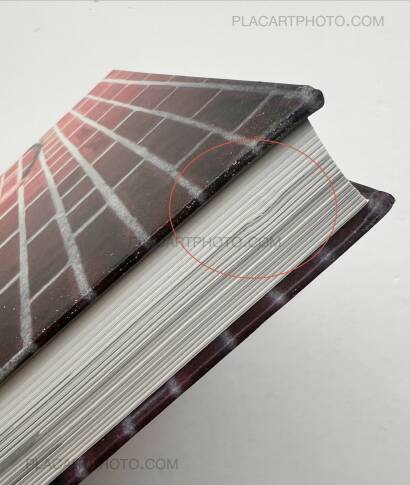 Ryan McGinley,the kids were alright