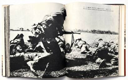 Kyoichi Sawada,Senjo / Battlefield  