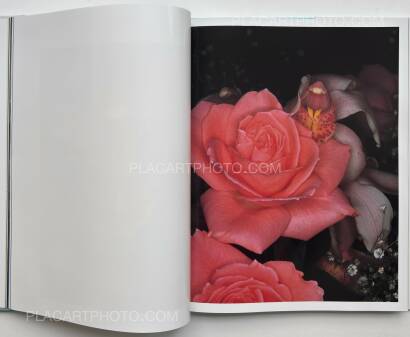 Nobuyoshi Araki,Tenshi-Sai (Angel's Festival)