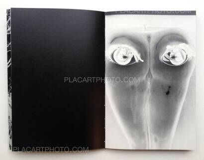 Maki,Gûyu - Allegory (Signed) Maki,Gûyu - Allegory (Signed)