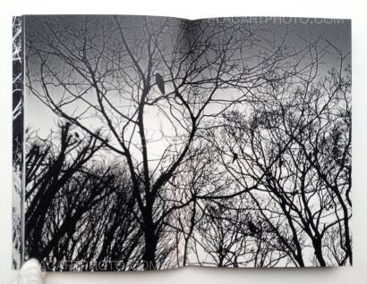 Maki,Gûyu - Allegory (Signed) Maki,Gûyu - Allegory (Signed)